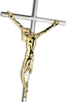 ��ֵ����